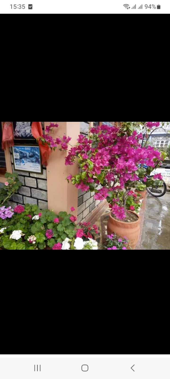 Galaxy Inn Guest House Pokhara Exteriör bild